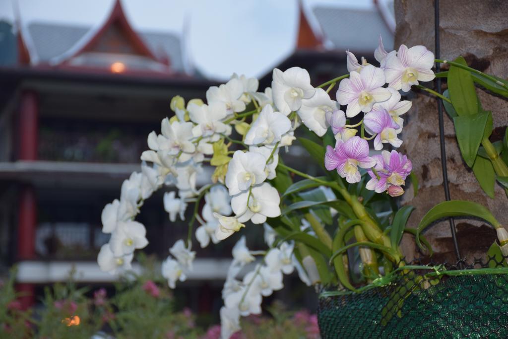 Kalim Residence Patong Dış mekan fotoğraf