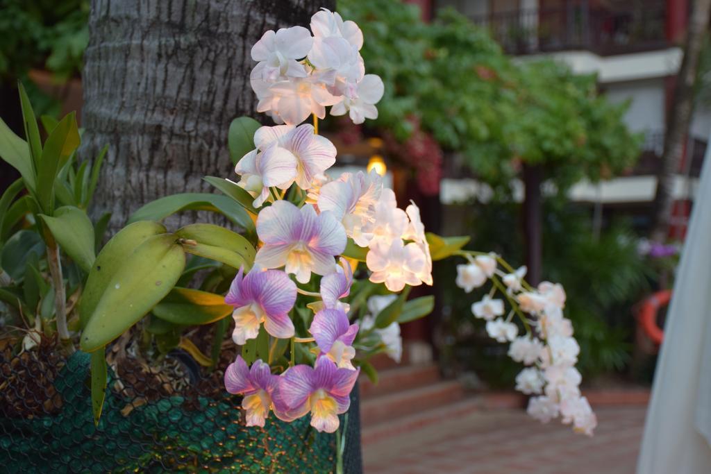 Kalim Residence Patong Dış mekan fotoğraf